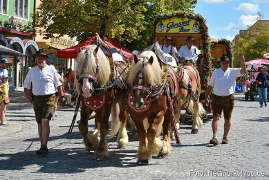 JURA-Volksfestzug-Neumarkt-0413