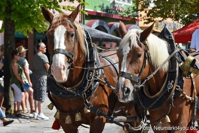 JURA-Volksfestzug-Neumarkt-0459