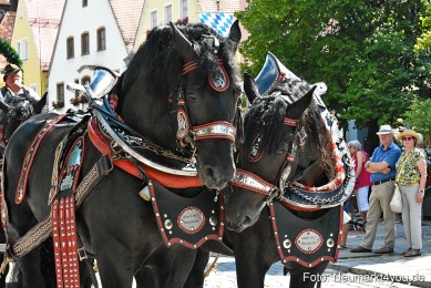 JURA-Volksfestzug-Neumarkt-0523