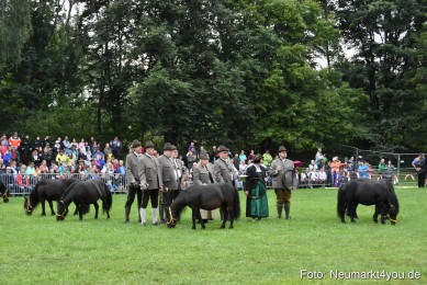 JURA-Volksfest-Pferdeshow-190819-0021