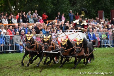 JURA-Volksfest-Pferdeshow-190819-0175