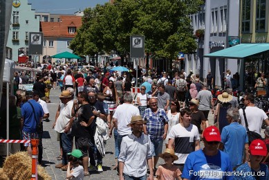 Oldtimertreffen-Neumarkt-2023-0062