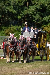 Pferde-und-Fohlenschau-2022-0002-