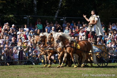 Pferde-und-Fohlenschau-2022-0033-