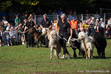 Pferde-und-Fohlenschau-2022-0076-