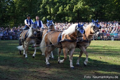 Pferde-und-Fohlenschau-2022-0105-