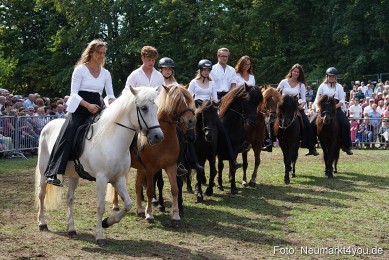 Pferde-und-Fohlenschau-2022-0266-