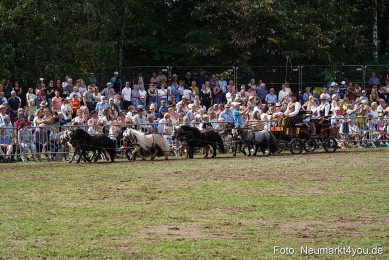 Pferde-und-Fohlenschau-2022-0305-