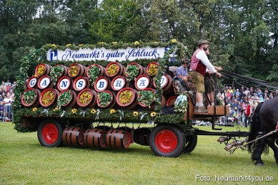 Pferde-und-Fohlenschau-2024-0011