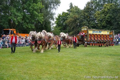 Pferde-und-Fohlenschau-2024-0012