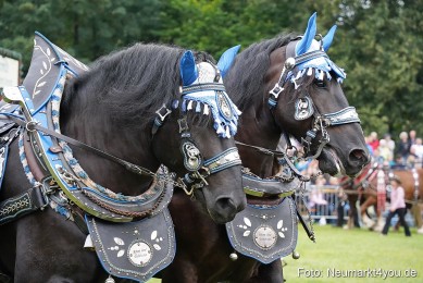 Pferde-und-Fohlenschau-2024-0017