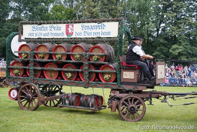 Pferde-und-Fohlenschau-2024-0018