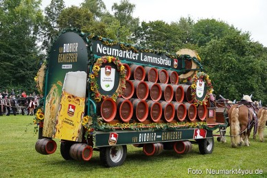 Pferde-und-Fohlenschau-2024-0027