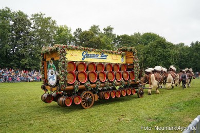 Pferde-und-Fohlenschau-2024-0039