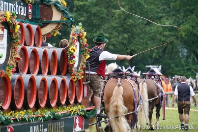 Pferde-und-Fohlenschau-2024-0043