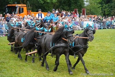Pferde-und-Fohlenschau-2024-0045