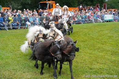 Pferde-und-Fohlenschau-2024-0048
