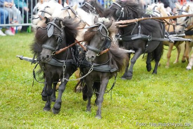 Pferde-und-Fohlenschau-2024-0051