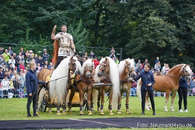 Pferde-und-Fohlenschau-2024-0060