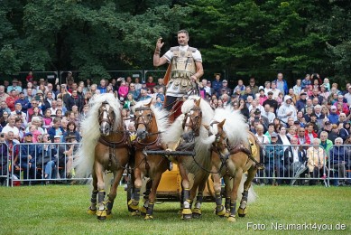 Pferde-und-Fohlenschau-2024-0063