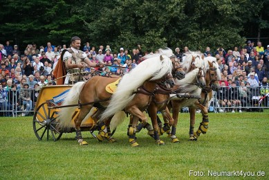Pferde-und-Fohlenschau-2024-0068