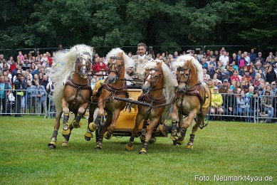 Pferde-und-Fohlenschau-2024-0070