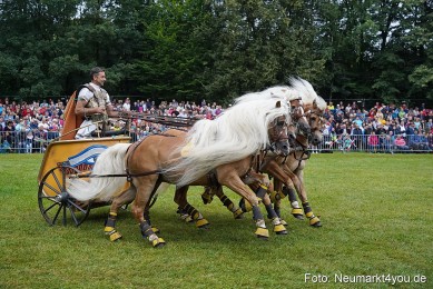 Pferde-und-Fohlenschau-2024-0071
