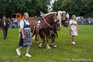 Pferde-und-Fohlenschau-2024-0077