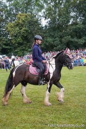 Pferde-und-Fohlenschau-2024-0086