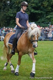 Pferde-und-Fohlenschau-2024-0089