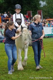 Pferde-und-Fohlenschau-2024-0090