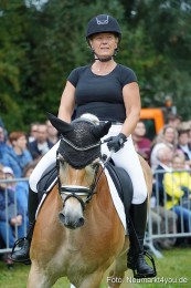 Pferde-und-Fohlenschau-2024-0099