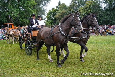 Pferde-und-Fohlenschau-2024-0102