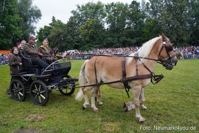 Pferde-und-Fohlenschau-2024-0105