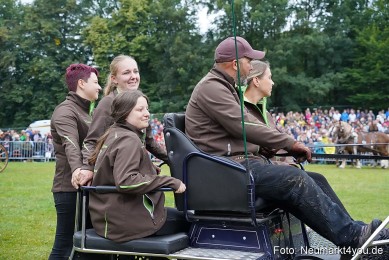 Pferde-und-Fohlenschau-2024-0106