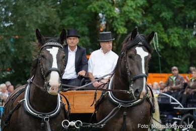 Pferde-und-Fohlenschau-2024-0112