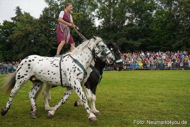 Pferde-und-Fohlenschau-2024-0140
