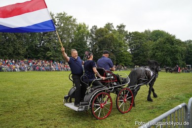 Pferde-und-Fohlenschau-2024-0162