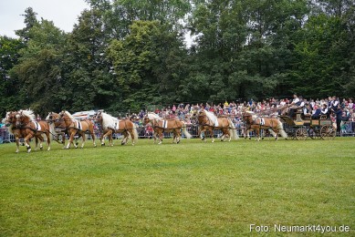 Pferde-und-Fohlenschau-2024-0163