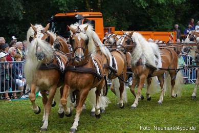 Pferde-und-Fohlenschau-2024-0167