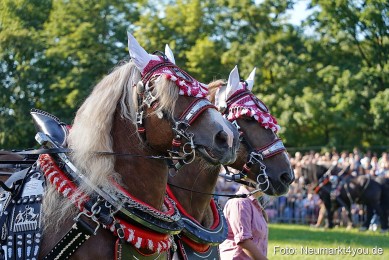 Pferde-und-Fohlenschau-2025-0030