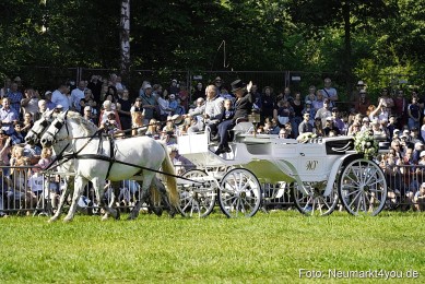 Pferde-und-Fohlenschau-2025-0081