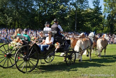 Pferde-und-Fohlenschau-2025-0100