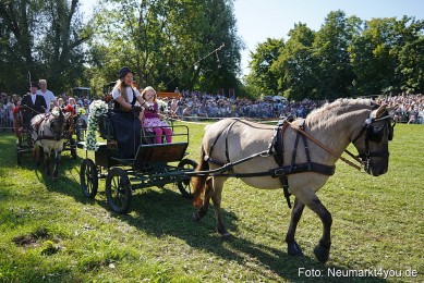 Pferde-und-Fohlenschau-2025-0109