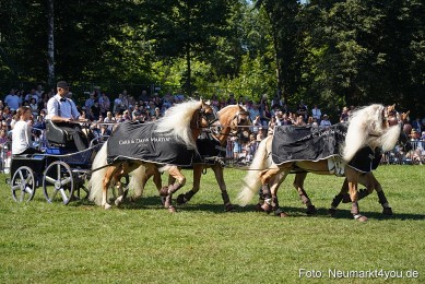 Pferde-und-Fohlenschau-2025-0155