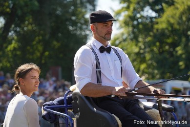 Pferde-und-Fohlenschau-2025-0157