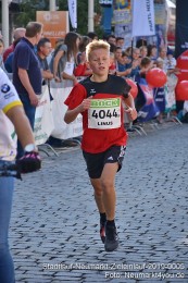 Stadtlauf-Neumarkt-Zieleinlauf-2019-0005
