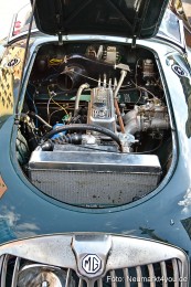 Altmuehltal-Classic-Sprint-2021-0258