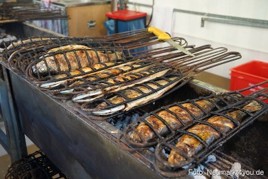 Altstadtfest-Neumarkt-2023-0036