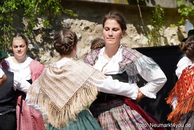 Altstadtfest-Neumarkt-2023-0629